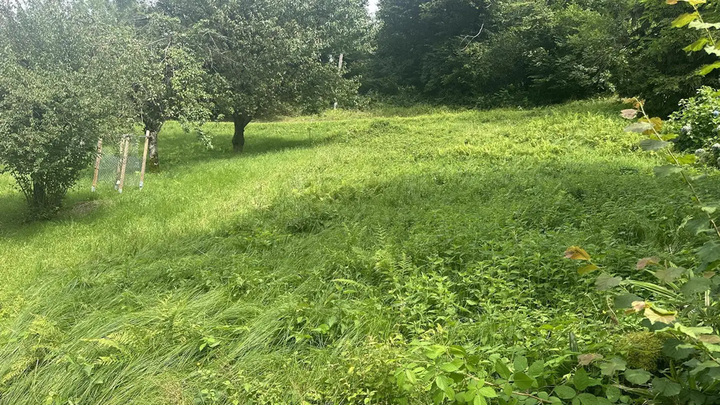 Constructible plot for sale - 6593 Cadenazzo - Photo 4