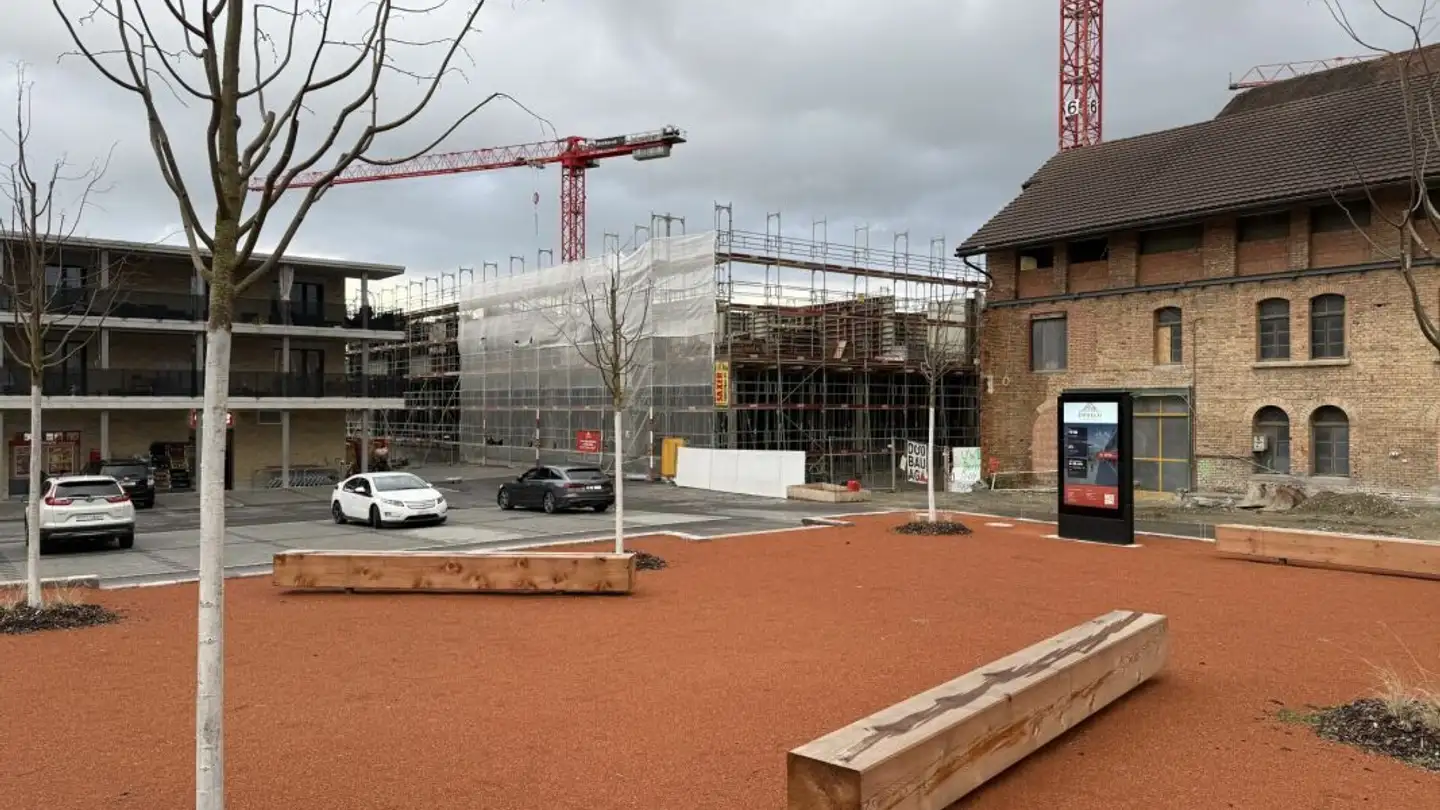 Appartement à louer - Hauptstrasse, 8572 Berg TG - Photo 4