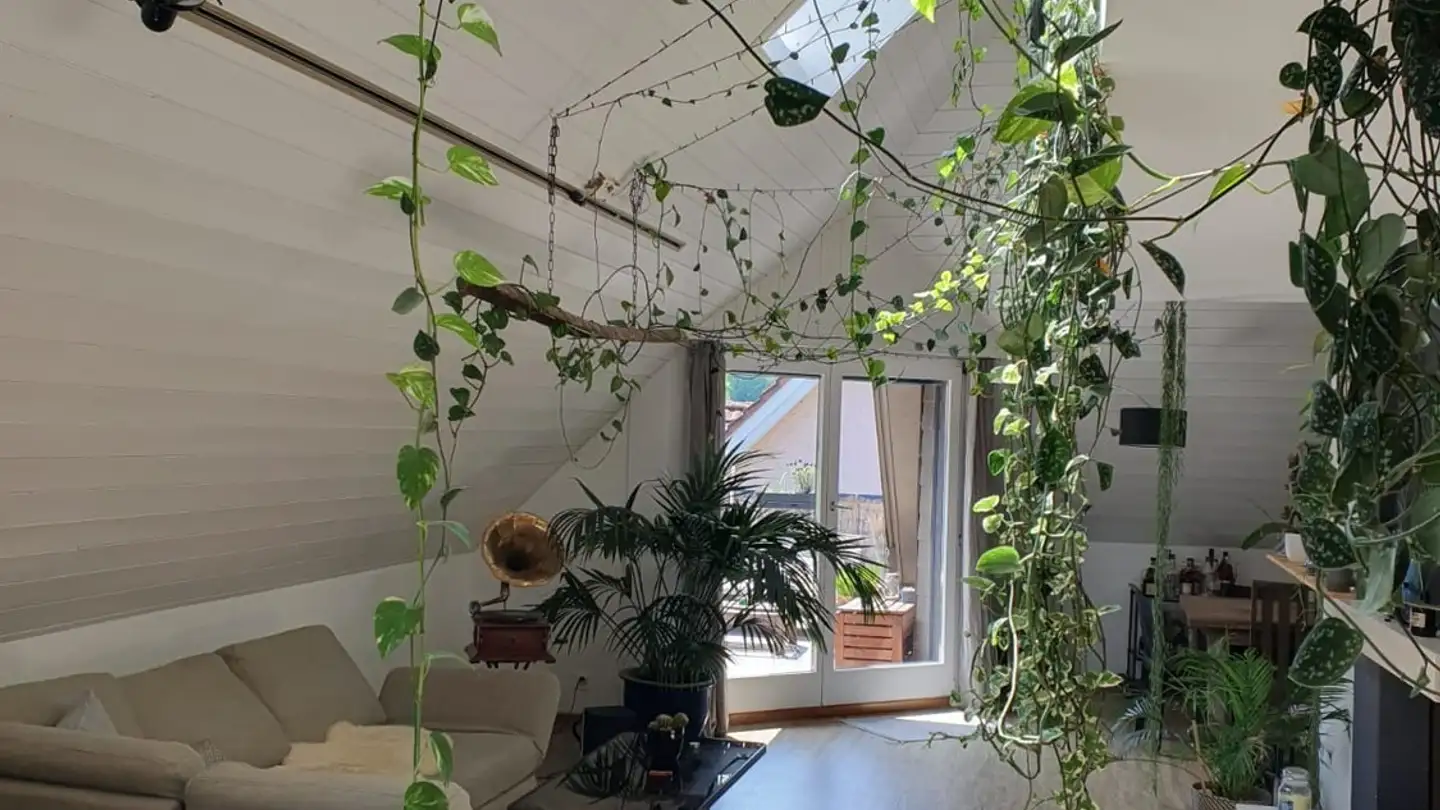 Single room for rent - 6005 Luzern - Photo 3