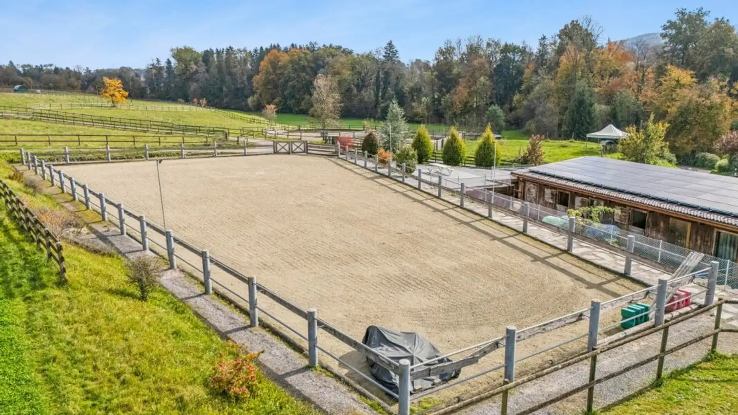 Ferme à vendre - 8566 Dotnacht