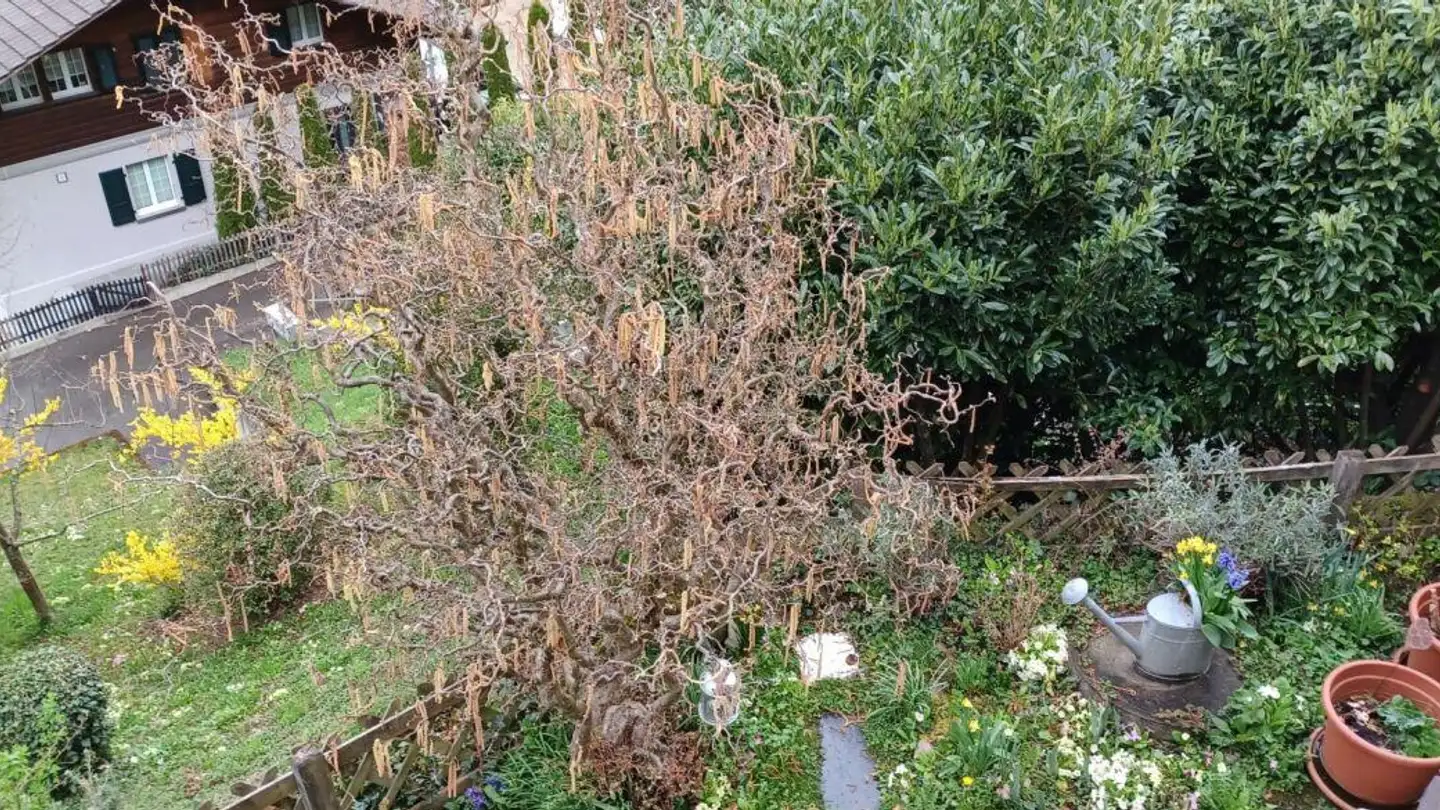 Semi-detached house for rent - Rainweg 18, 3626 Hünibach - Photo 2