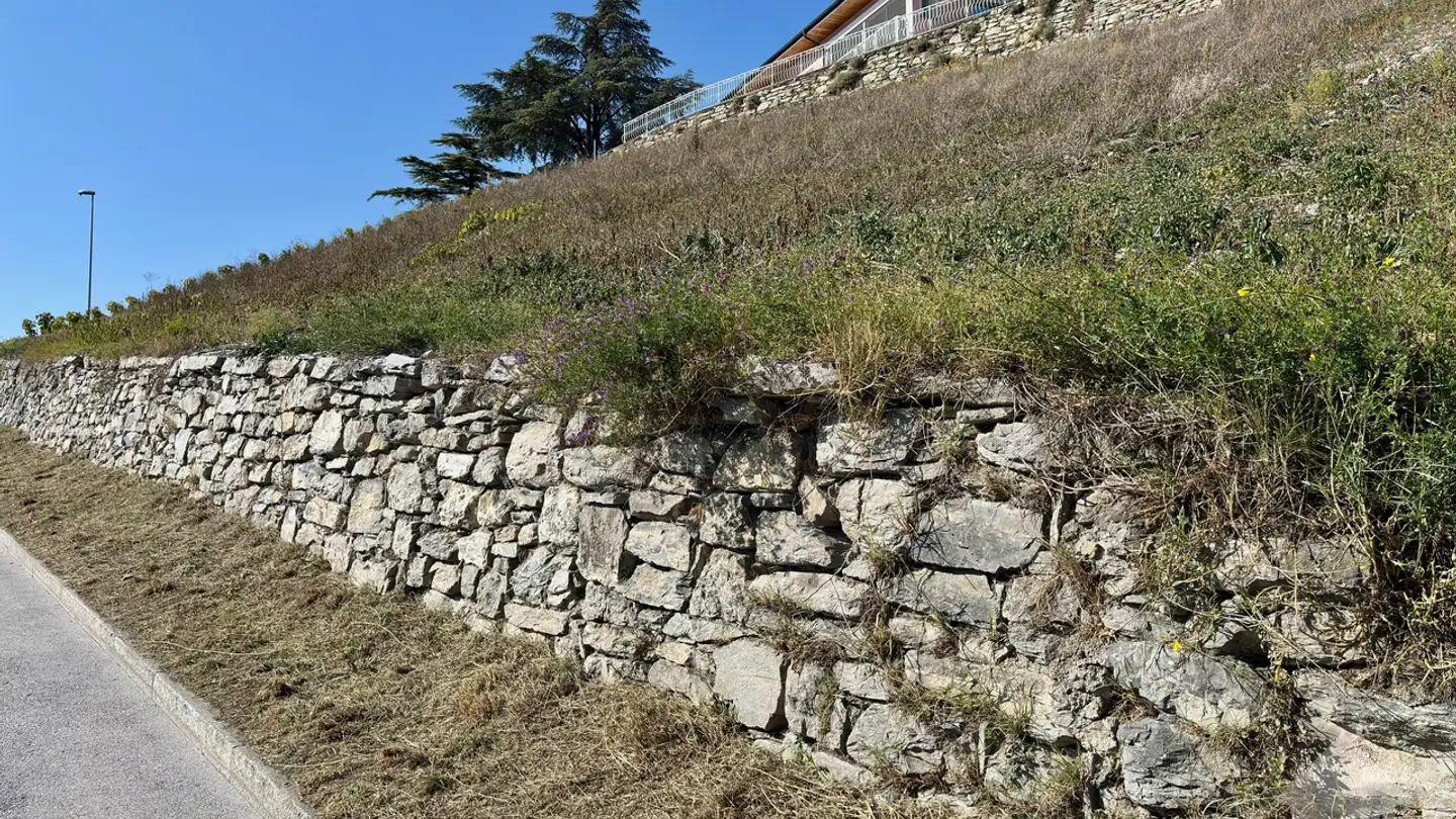 Terreno edificabile in vendita - 3968 Veyras - Foto 3