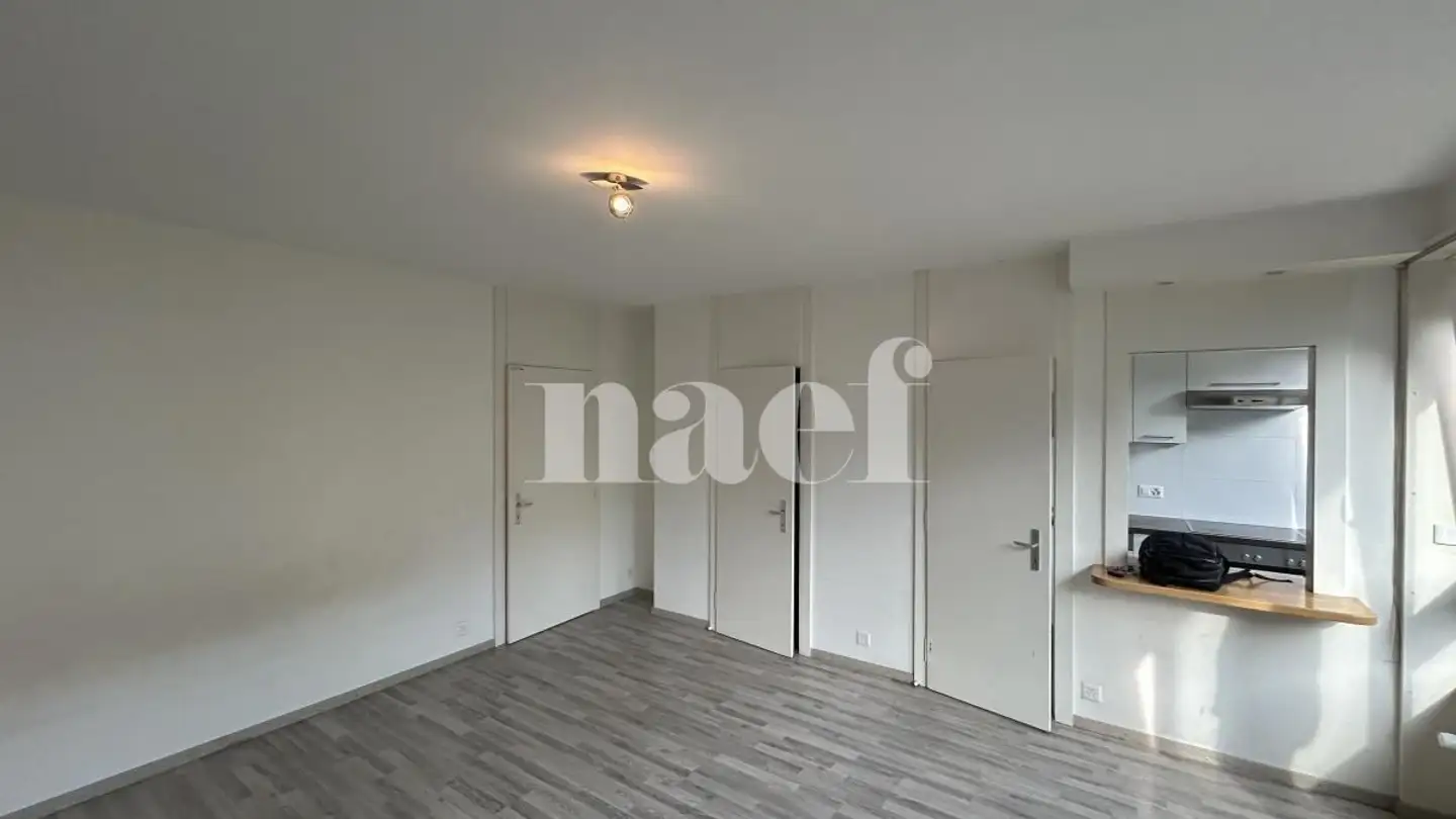 Appartement à louer - Rue Samuel-Constant 3, 1201 Genève - Photo 2