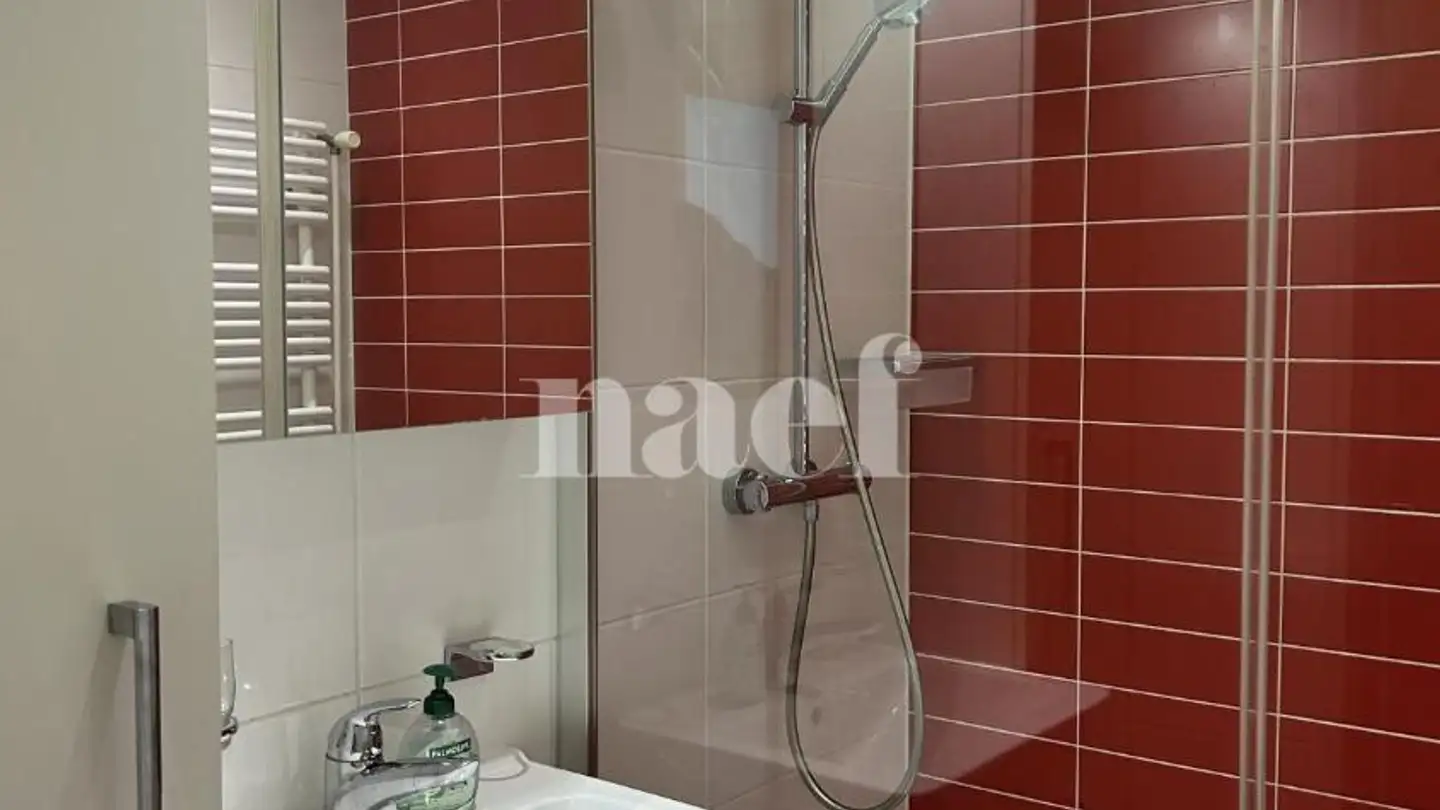 Appartement à louer - Rue Samuel-Constant 3, 1201 Genève - Photo 3