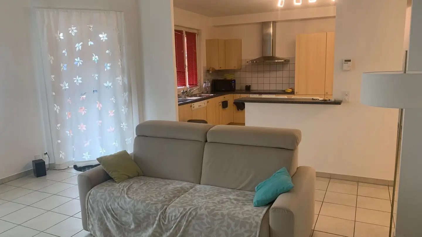 Appartamento in affitto - Chemin Victor- Duret, 1213 Onex - Photo 4