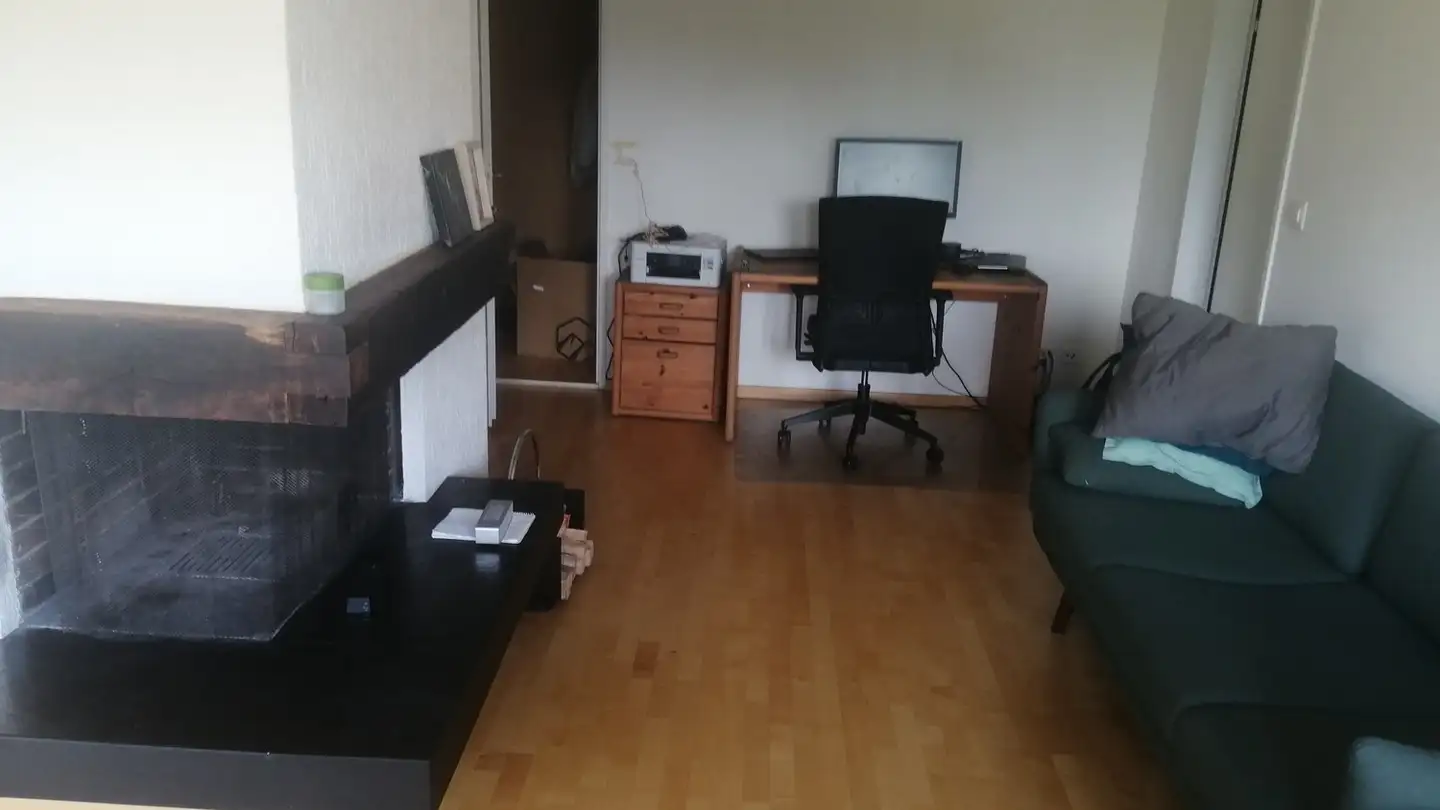 Appartamento in affitto - 8903 Birmensdorf ZH - Photo 2