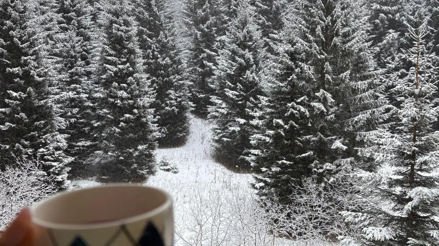 Appartement meublé à louer - Curil 14, 6565 S. Bernardino