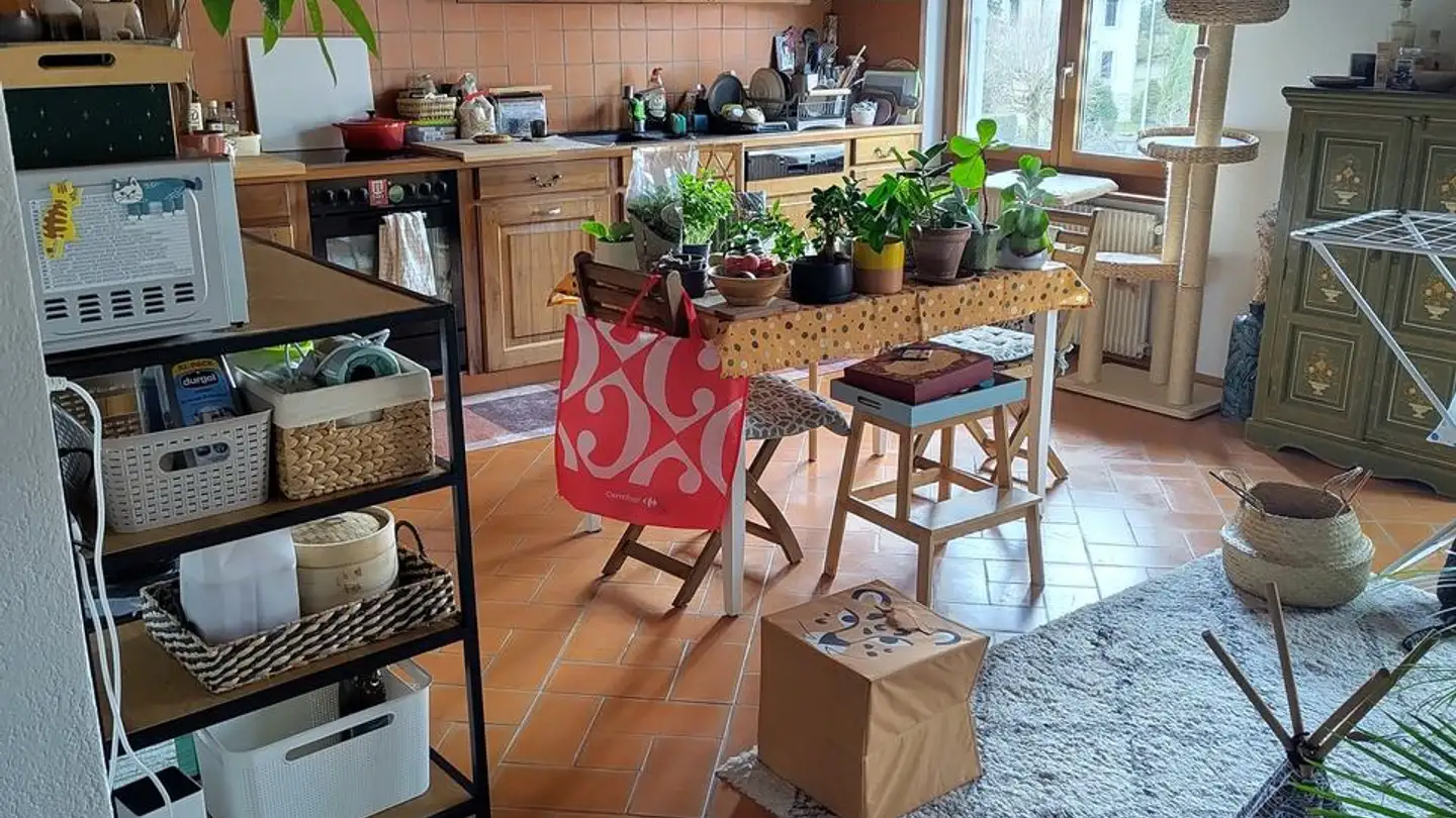 Wohnung mieten - Rue Achille-Merguin 34, 2900 Porrentruy