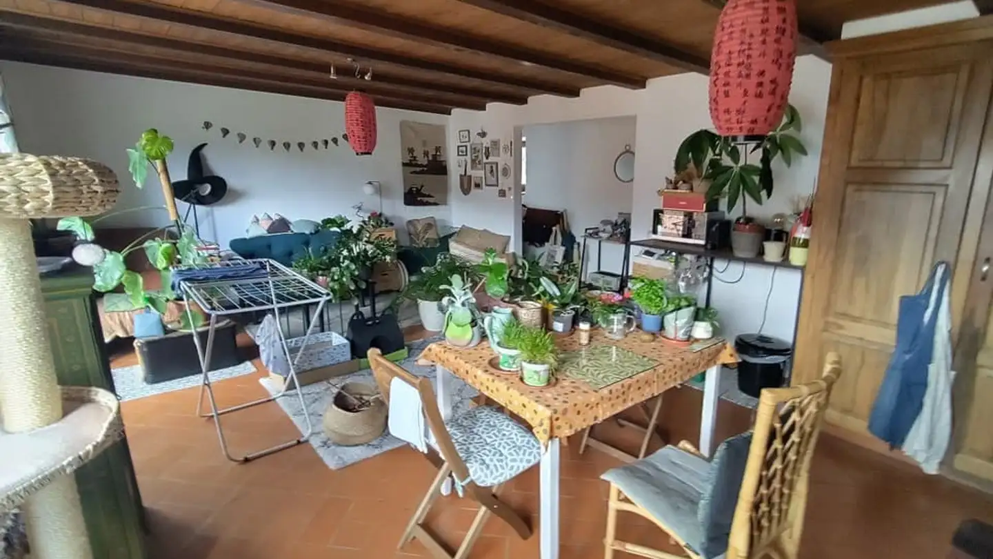 Wohnung mieten - Rue Achille-Merguin 34, 2900 Porrentruy - Foto 2