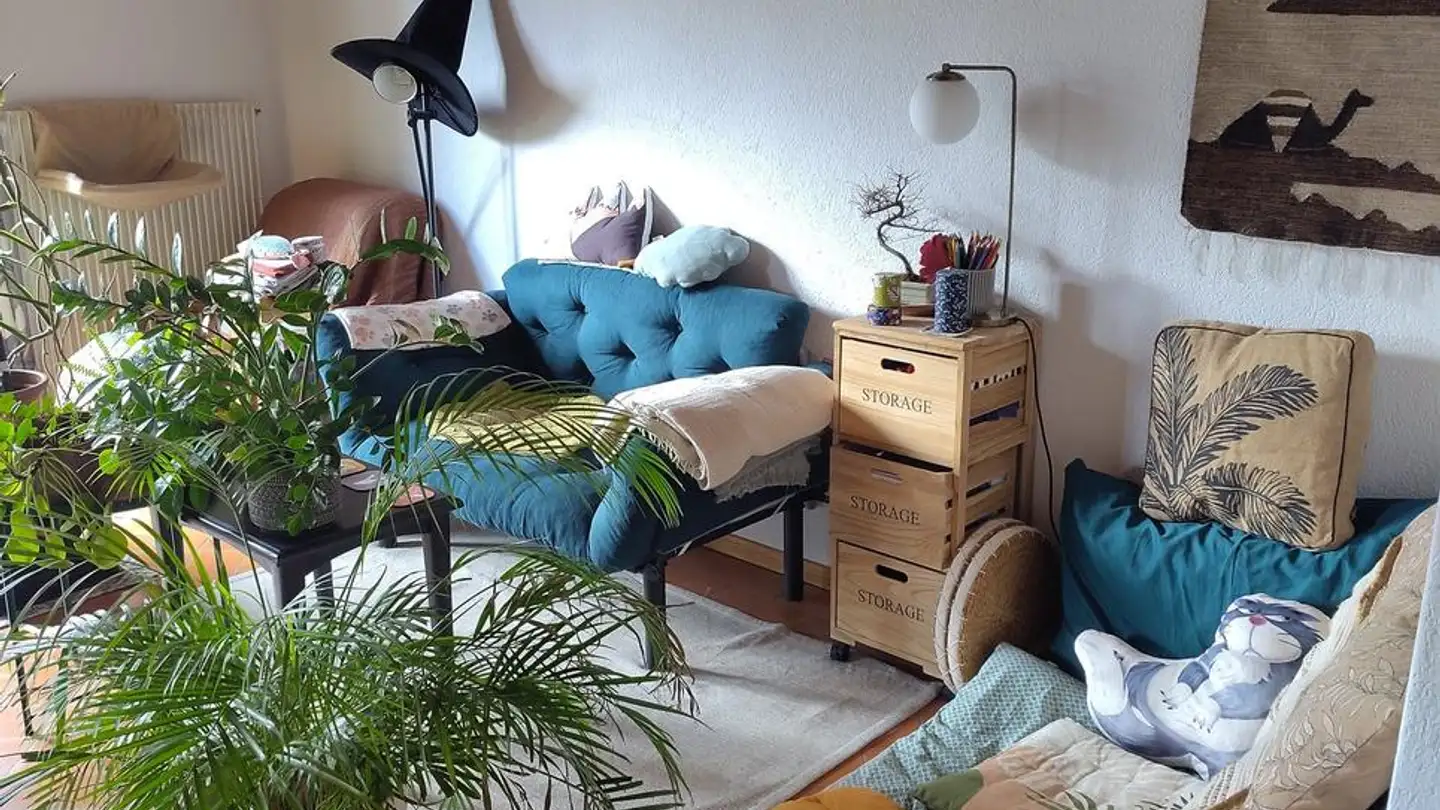 Wohnung mieten - Rue Achille-Merguin 34, 2900 Porrentruy - Foto 3