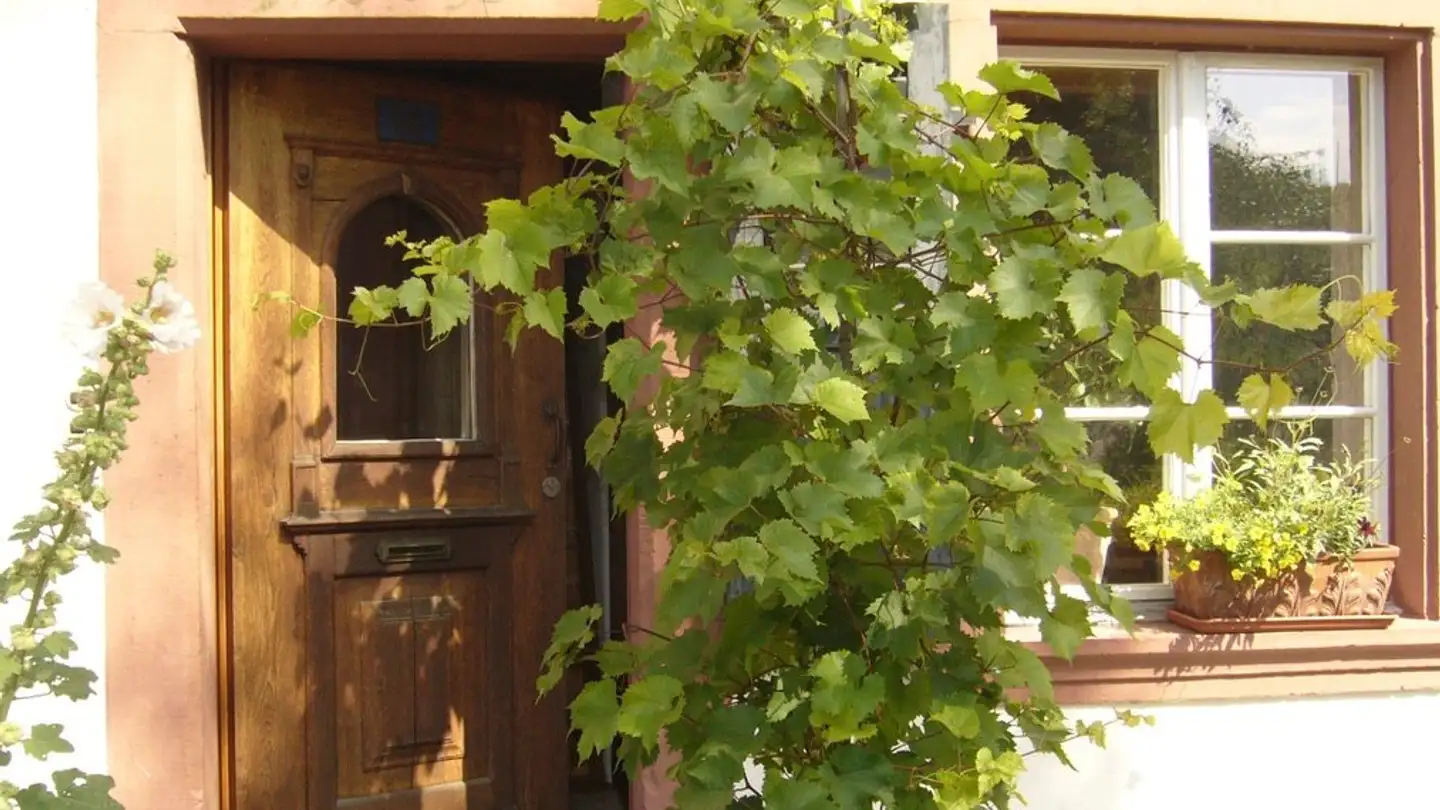 Apartment for rent - Dorfstrasse 14, 4423 Hersberg