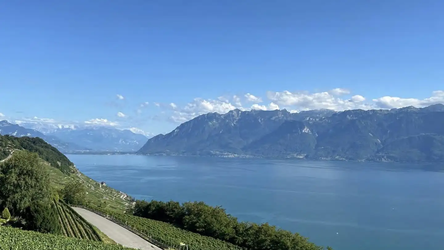 Casa singola in vendita - 1071 Chexbres - Foto 2