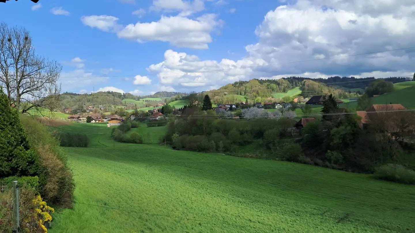 Appartamento in affitto - 3412 Heimiswil