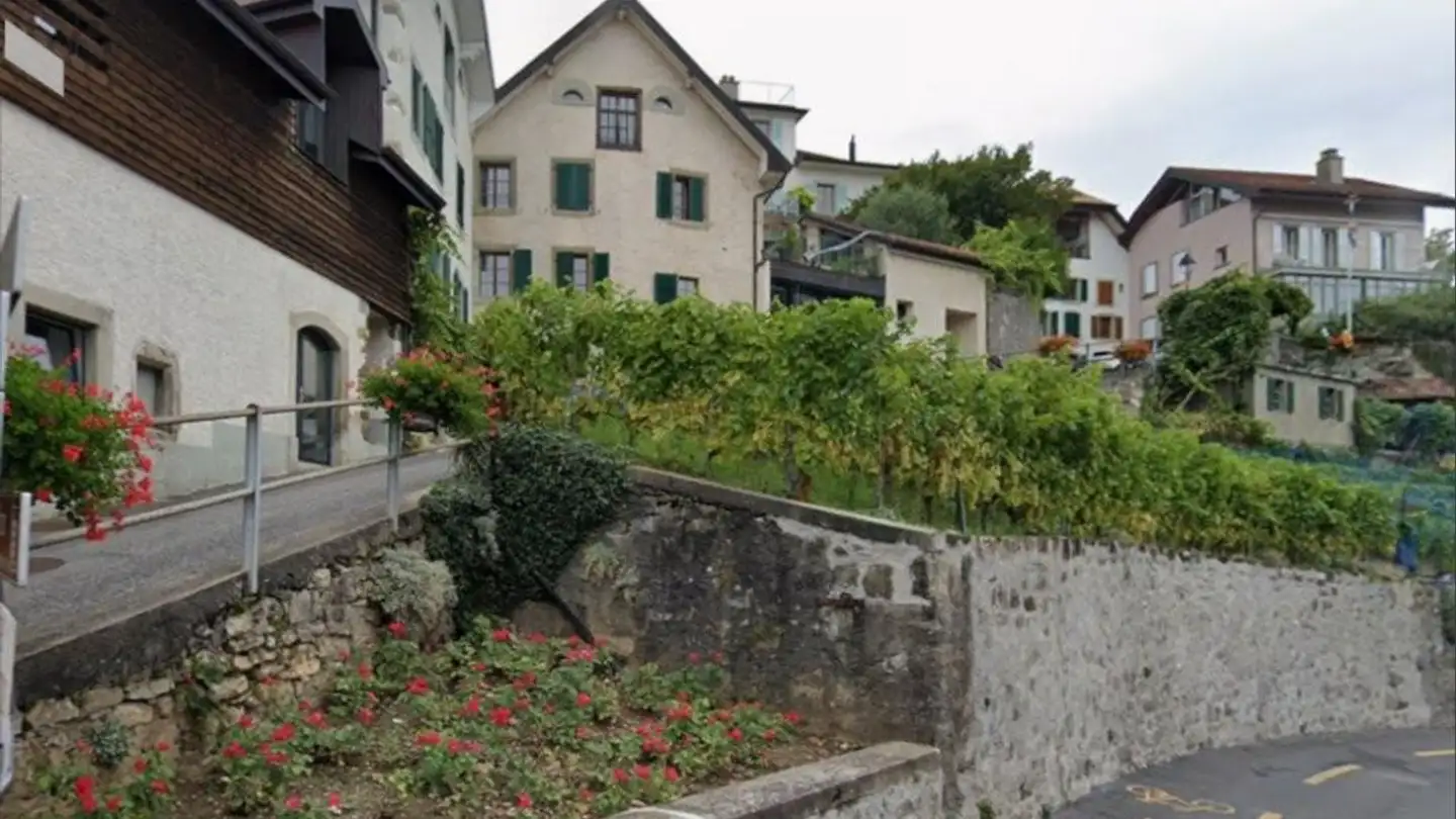 Apartment for rent - Chemin De La Cougnire 3, 1071 Chexbres