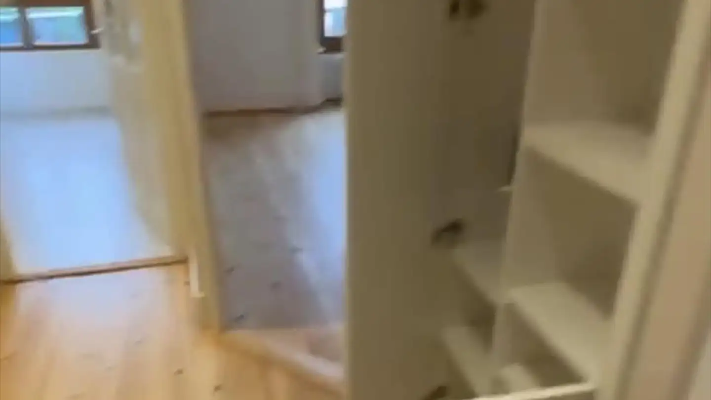 Appartamento in affitto - Rue Des Deux-Ponts, 1205 Genève - Photo 4