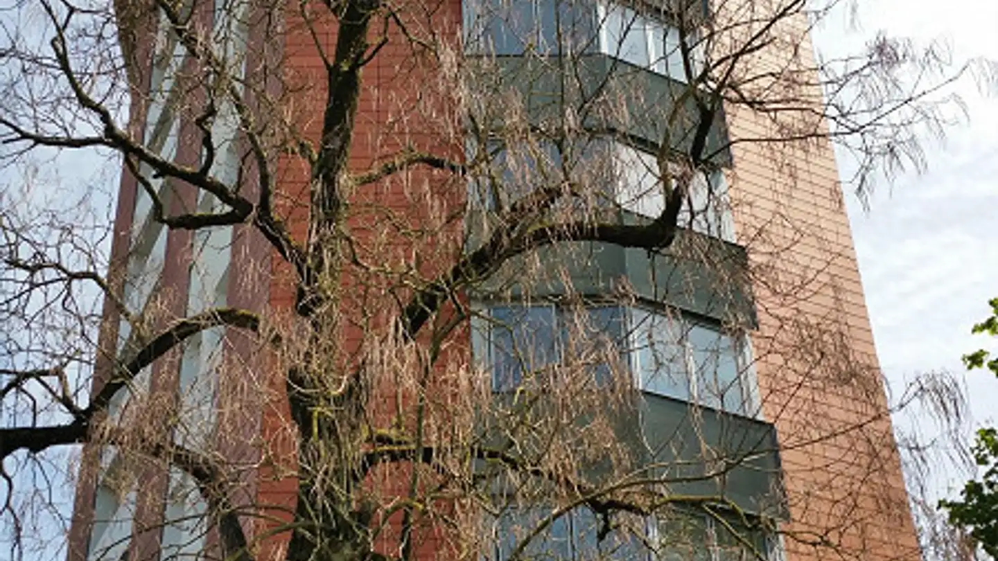 Wohnung mieten - Grundstrasse 23, 8500 Frauenfeld