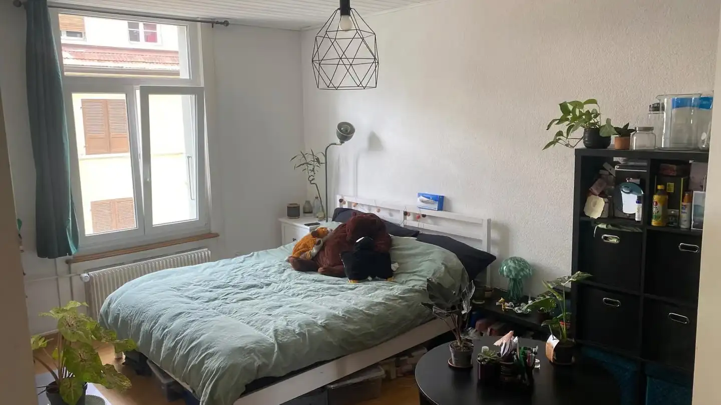 Wohnung mieten - Rue Du Milieu / Mittelstrasse 16a, 2502 Biel/Bienne - Foto 4