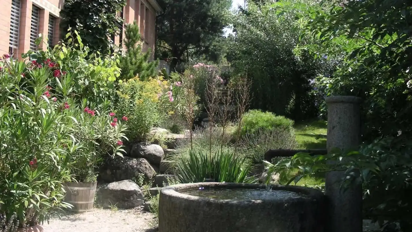 Appartamento in affitto - Rotfluhstrasse 42, 8702 Zollikon