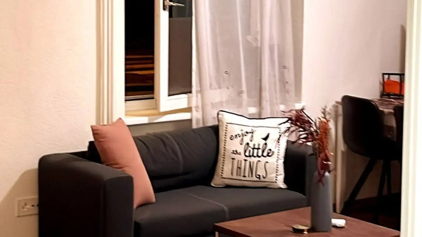 Furnished apartment for rent - Steinstrasse 35, 8003 Zürich - Photo 2