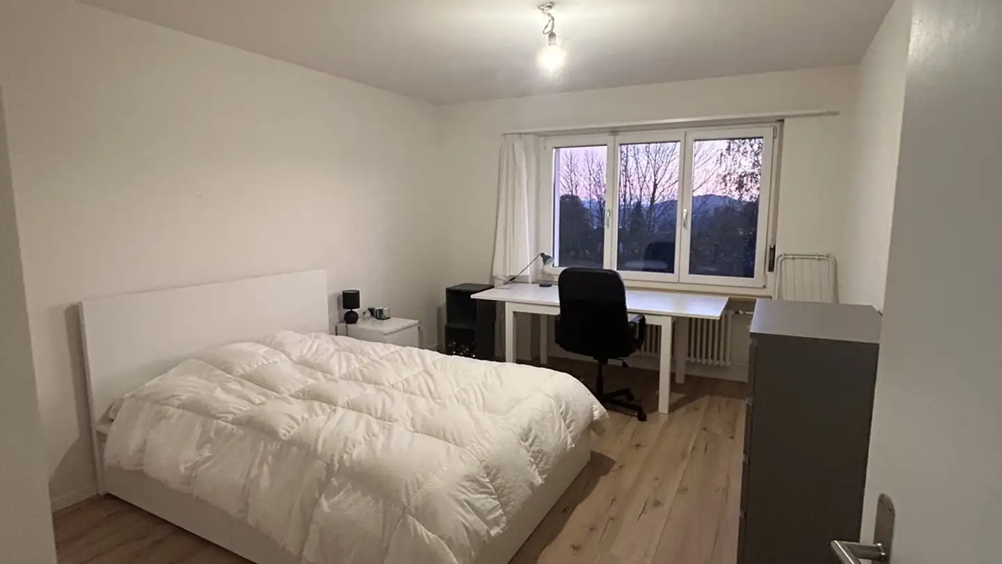 Appartamento in affitto - Obere Dorfstrasse 80, 8964 Rudolfstetten - Photo 4