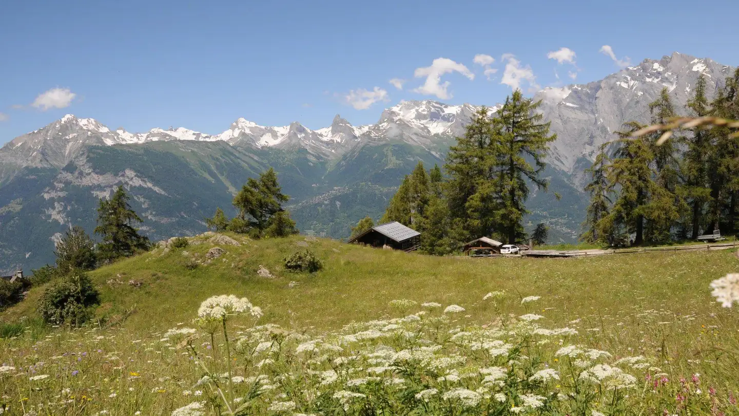 Single house for sale - Route D'isérables, 1914 Auddes-sur-Riddes - Photo 2