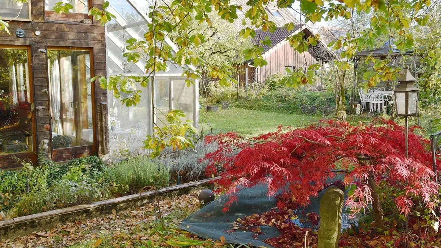 Maison jumelle à louer - Gewerbeschulstrasse 3b, 8620 Wetzikon ZH - Photo 3