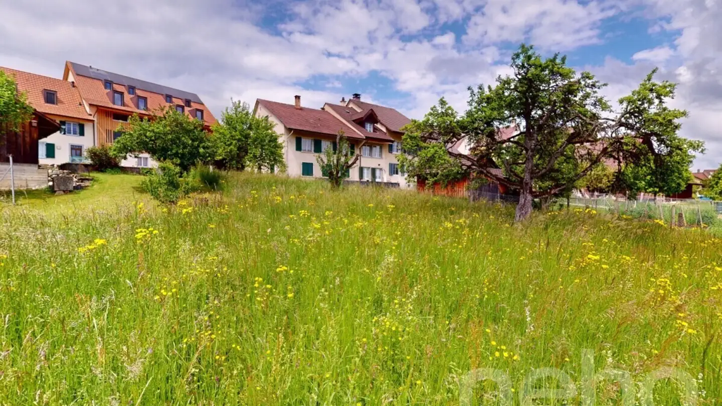 Terreno edificabile in vendita - 4424 Arboldswil - Photo 4