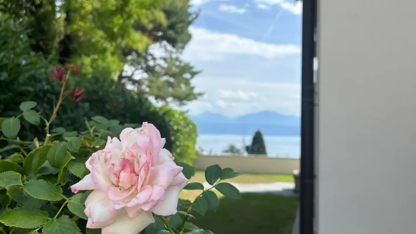 Appartement à louer - Rue Du Village 8, 1164 Buchillon