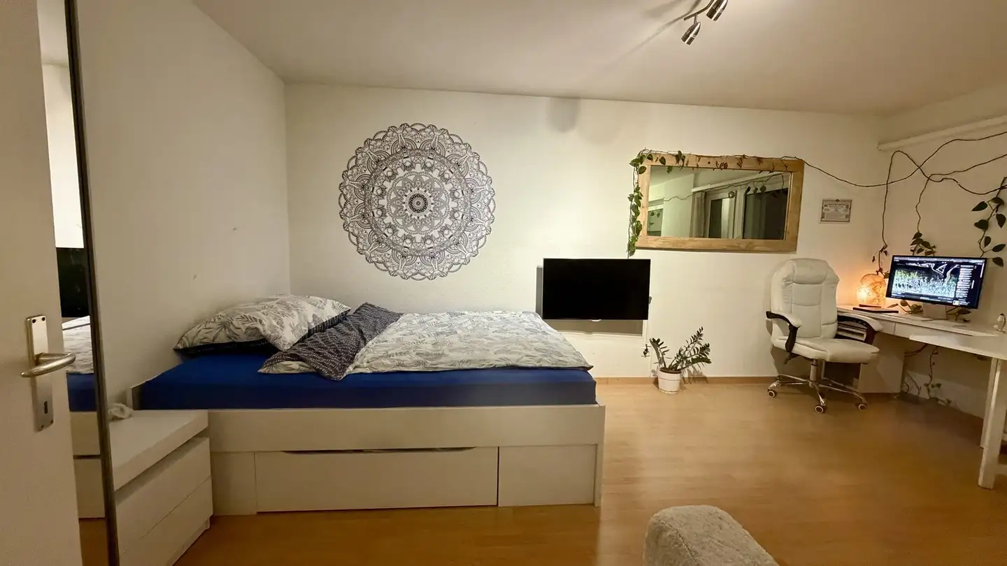 Appartamento in affitto - Schaffhauserstrasse 445, 8050 Zürich - Foto 2