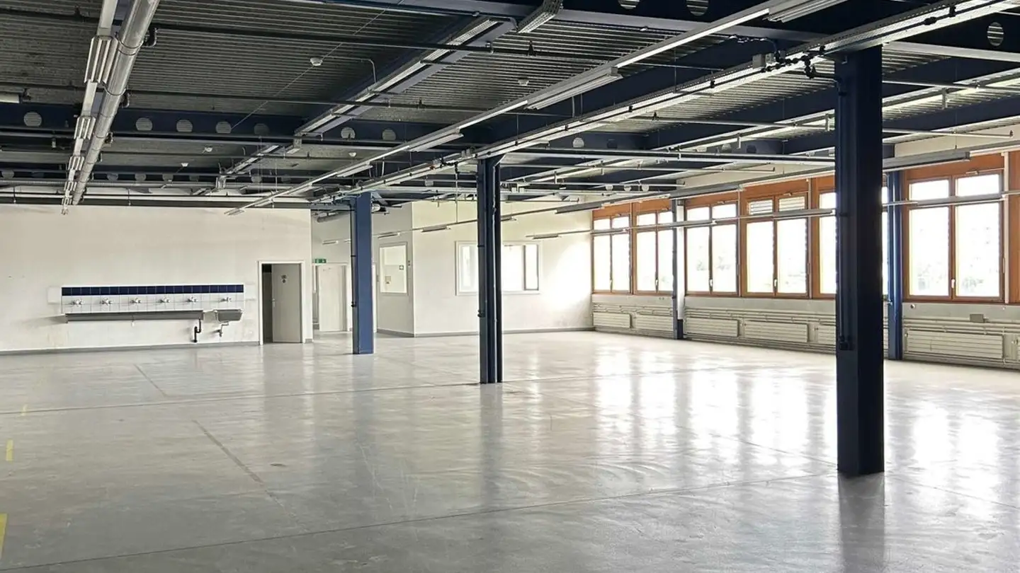 Industrieimmobilie mieten - 1227 Carouge GE - Foto 4