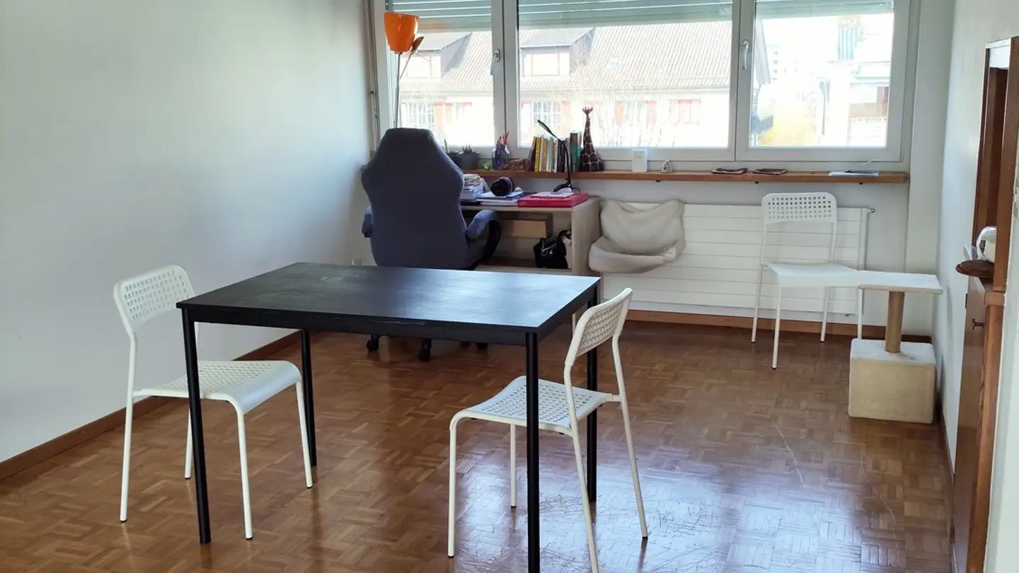 Appartamento in affitto - 8620 Wetzikon ZH - Foto 2