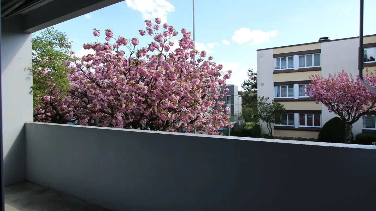 Appartamento in affitto - Chemin De Scheuren / Scheurenweg 31, 2504 Biel/Bienne - Photo 4