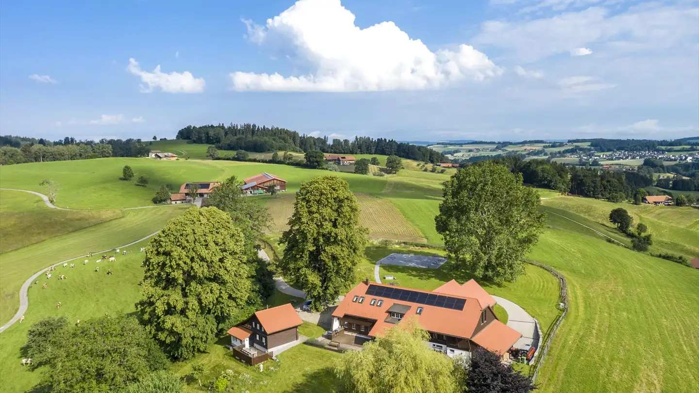 Casa singola in vendita - Ruefsguet 1, 1718 Rechthalten - Photo 2