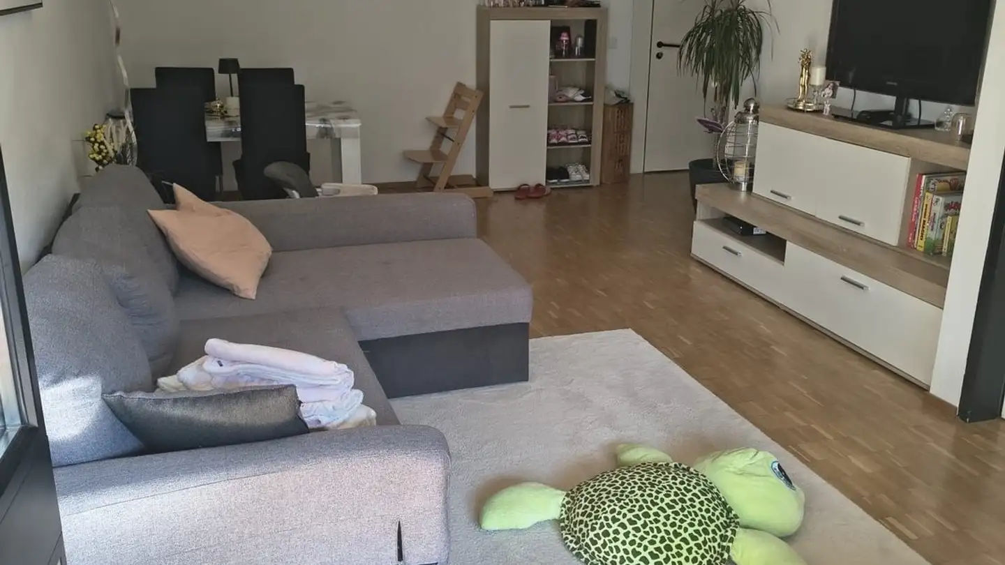 Apartment for rent - El Sgérbi, 6513 Monte Carasso