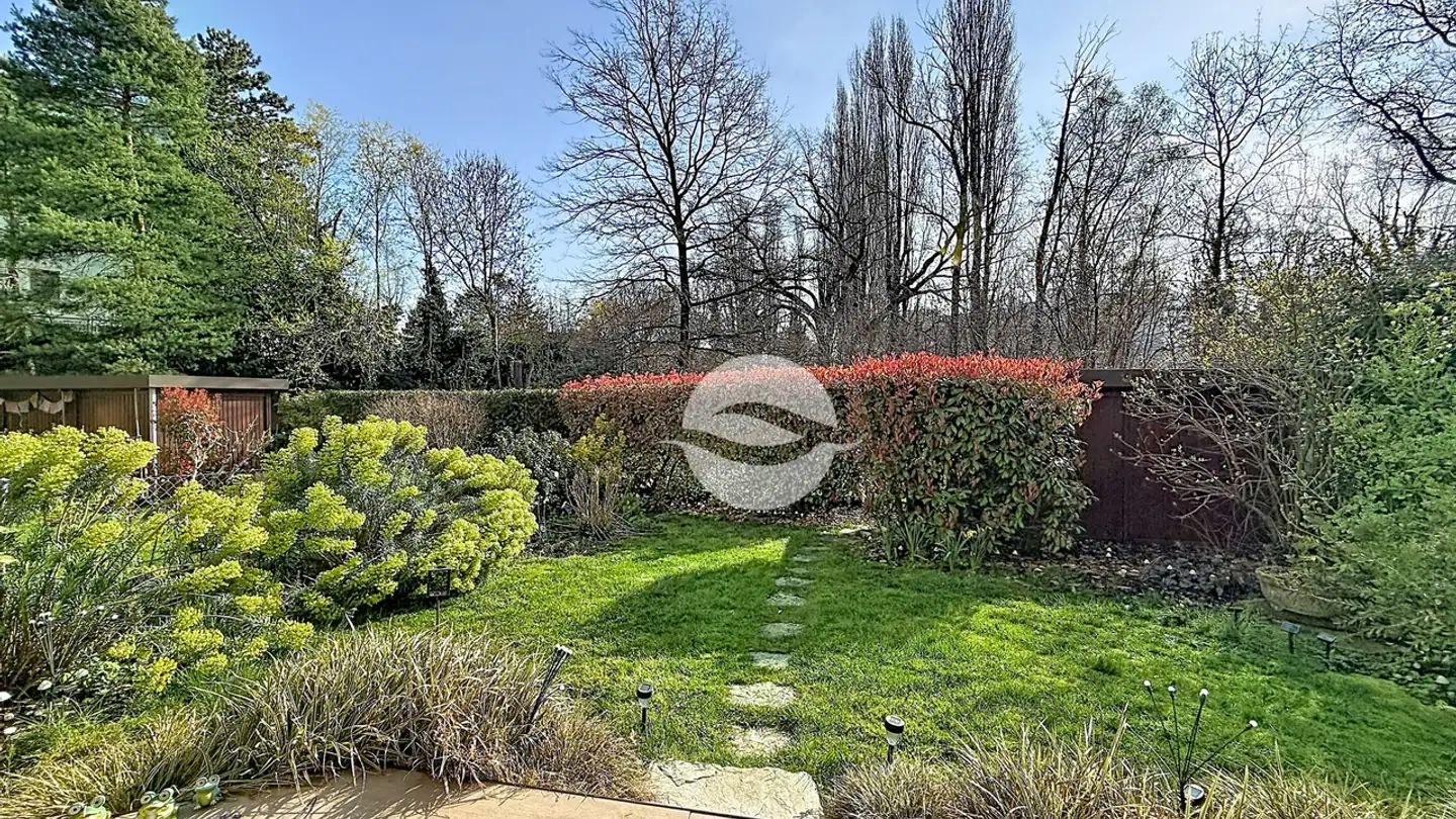 Apartment for rent - Chemin Édouard-Olivet, 1226 Thônex