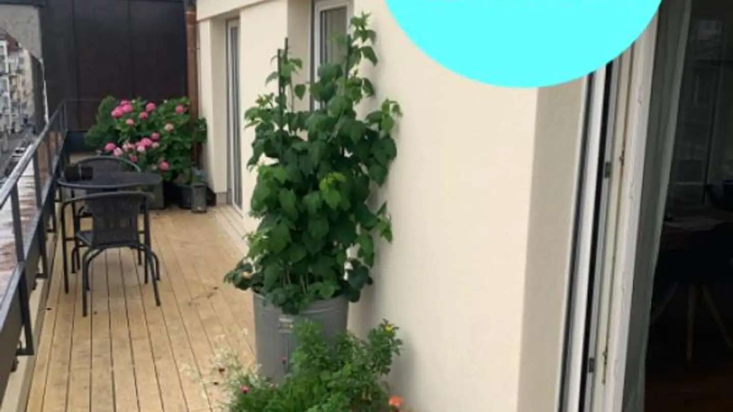 Appartement à louer - Murbacherstrasse 25, 6003 Luzern