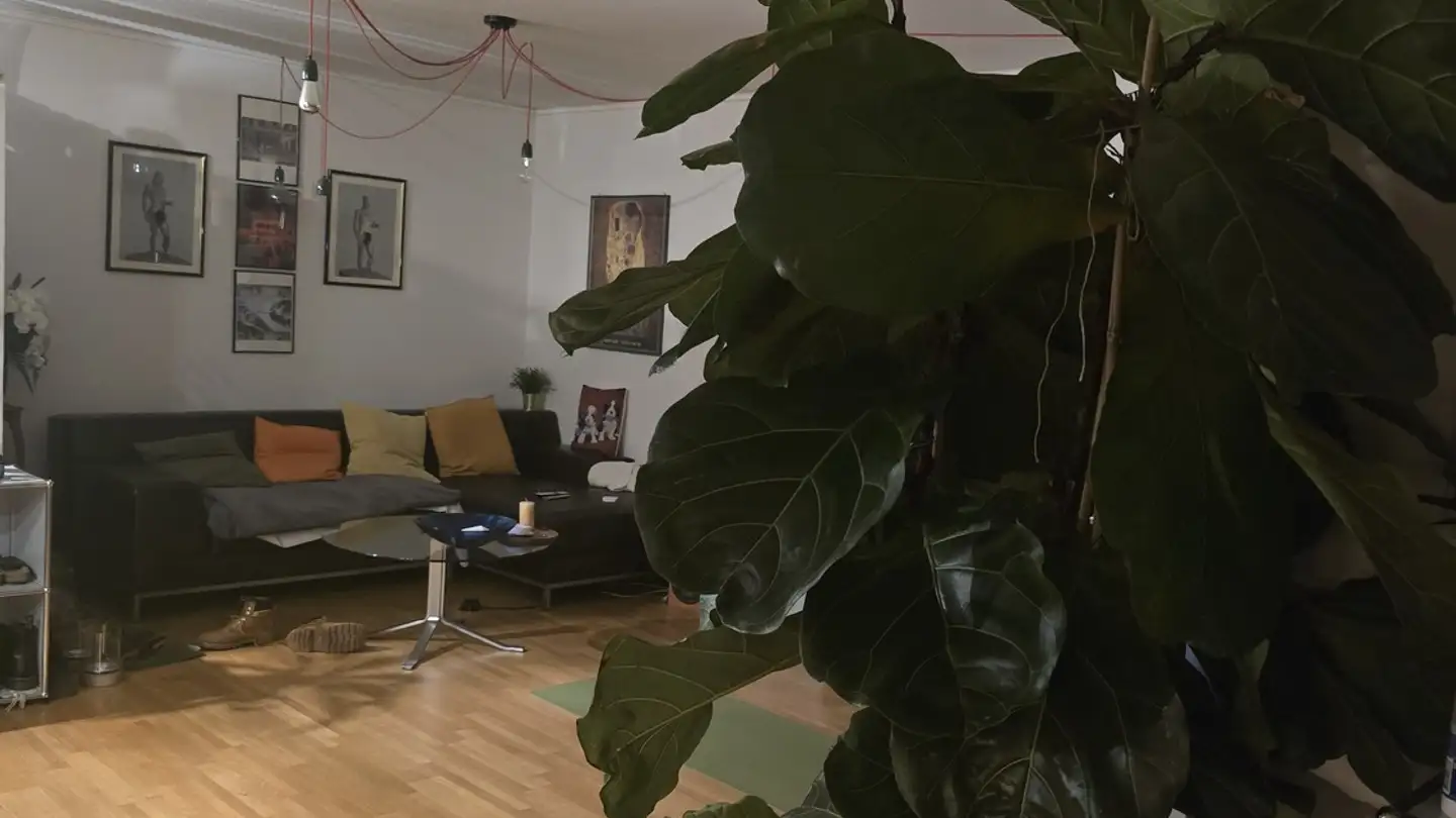 Apartment for rent - 8050 Zürich - Photo 2