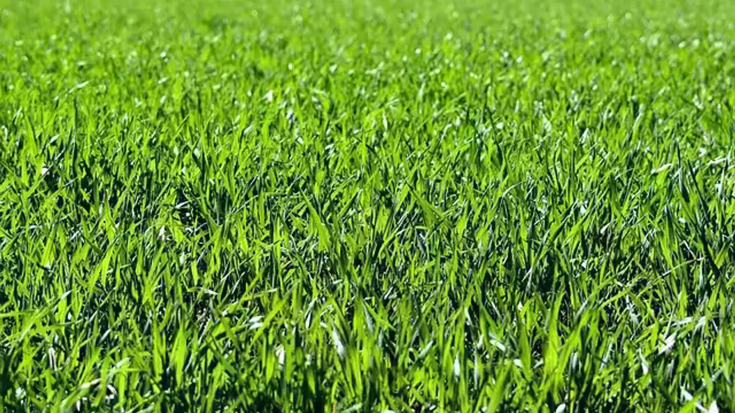 Terrain constructible à vendre - 6710 Biasca