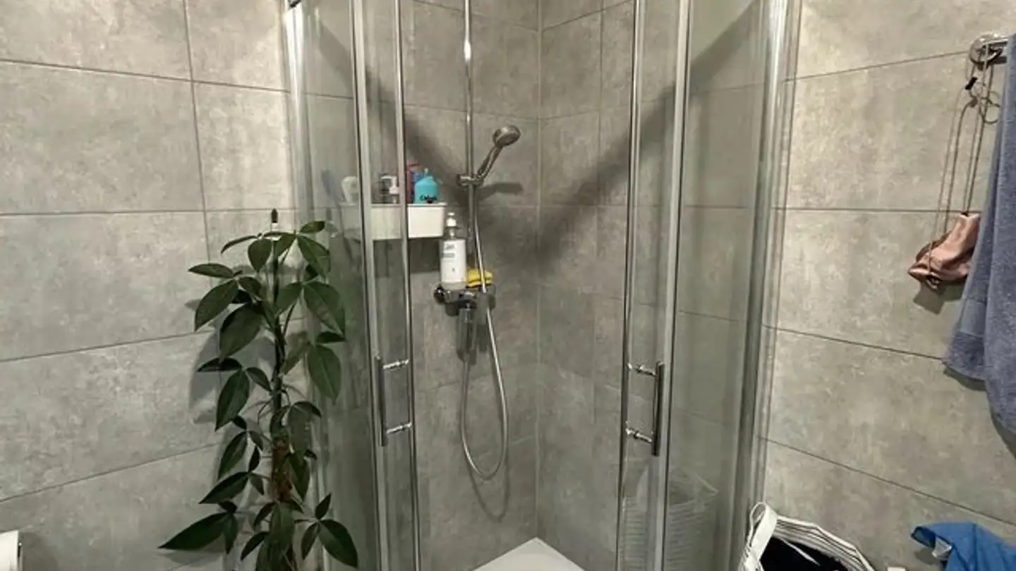 Wohnung mieten - Route D'oron 154, 1676 Chavannes-les-Forts - Foto 4