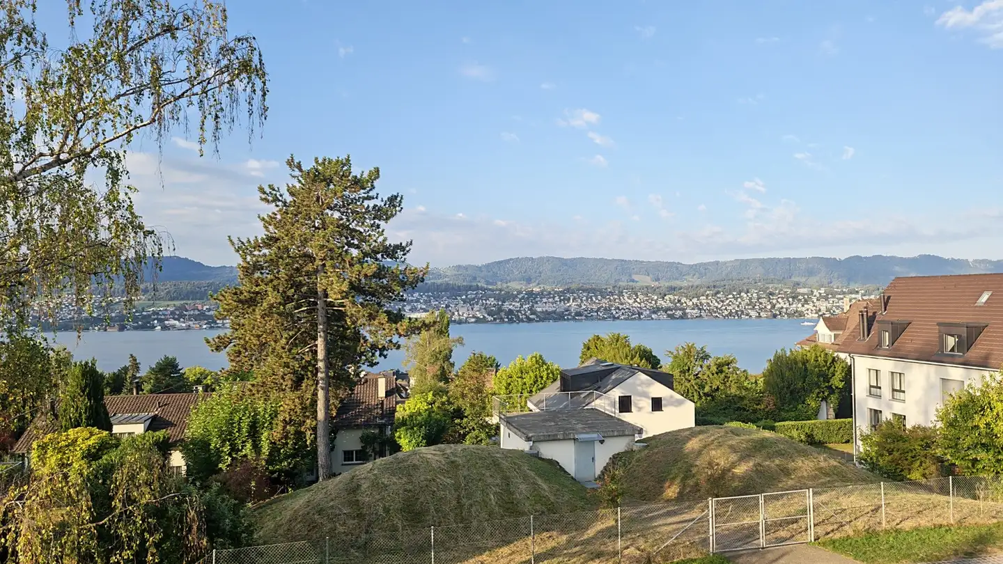 Apartment for rent - Lerchenhalde 22, 8703 Erlenbach ZH