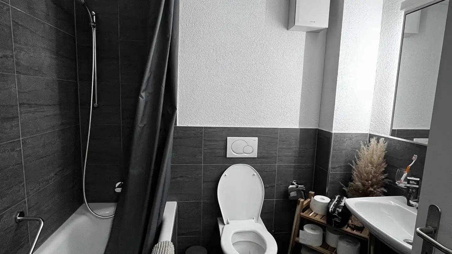 Chambre à louer - 8004 Zürich - Photo 3