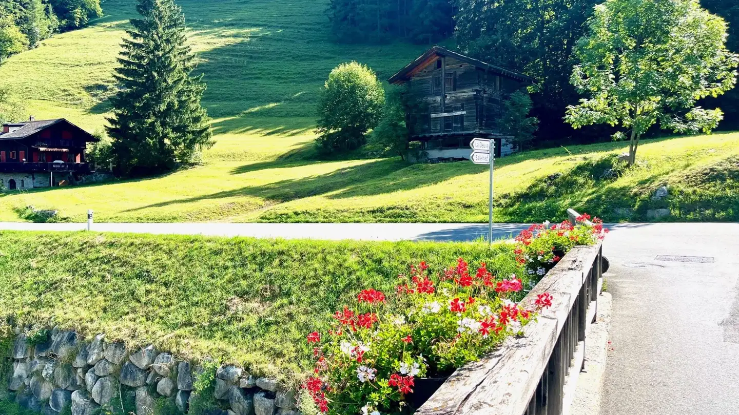 Property for sale - 1937 Orsières - Photo 2