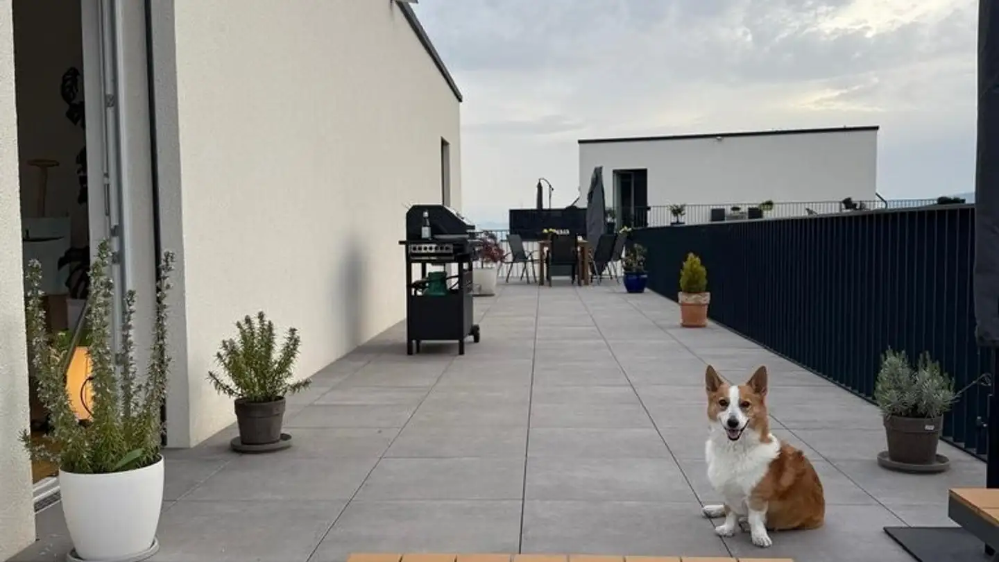 Attico in affitto - Route De Genève 5a, 1033 Cheseaux-sur-Lausanne - Foto 4