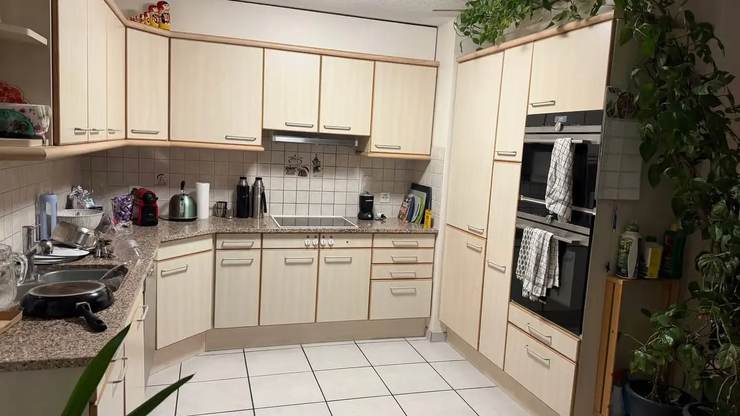 Apartment for rent - 8914 Aeugst am Albis - Photo 4
