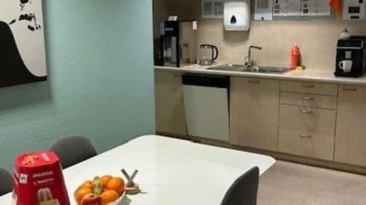 Storage space for rent - 8952 Schlieren - Photo 4