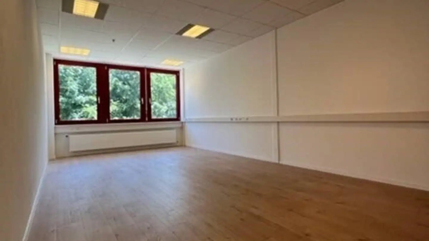 Bureau à louer - Chemin De La Colice, 1023 Crissier - Photo 2