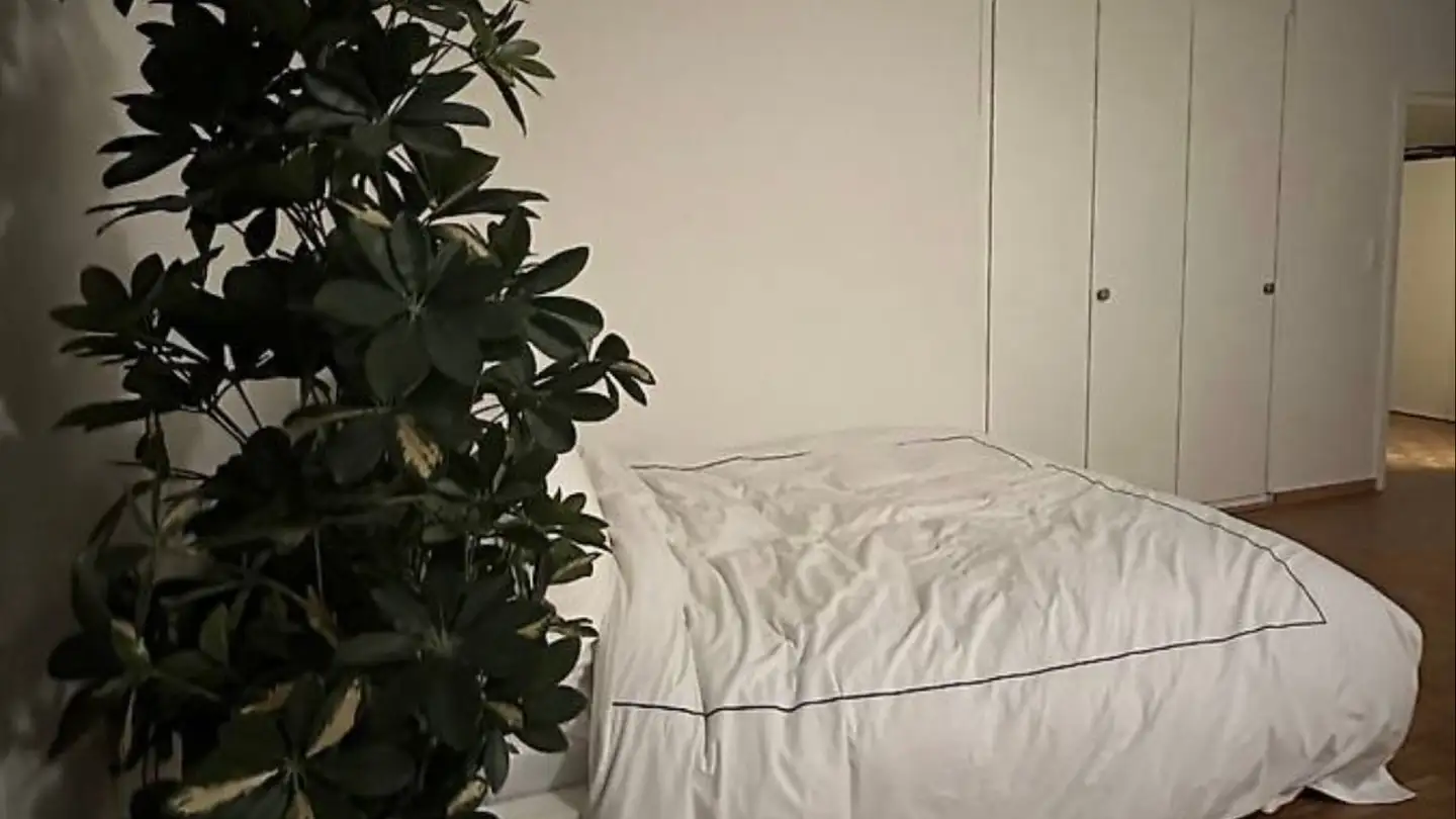 Appartement à louer - 8006 Zürich