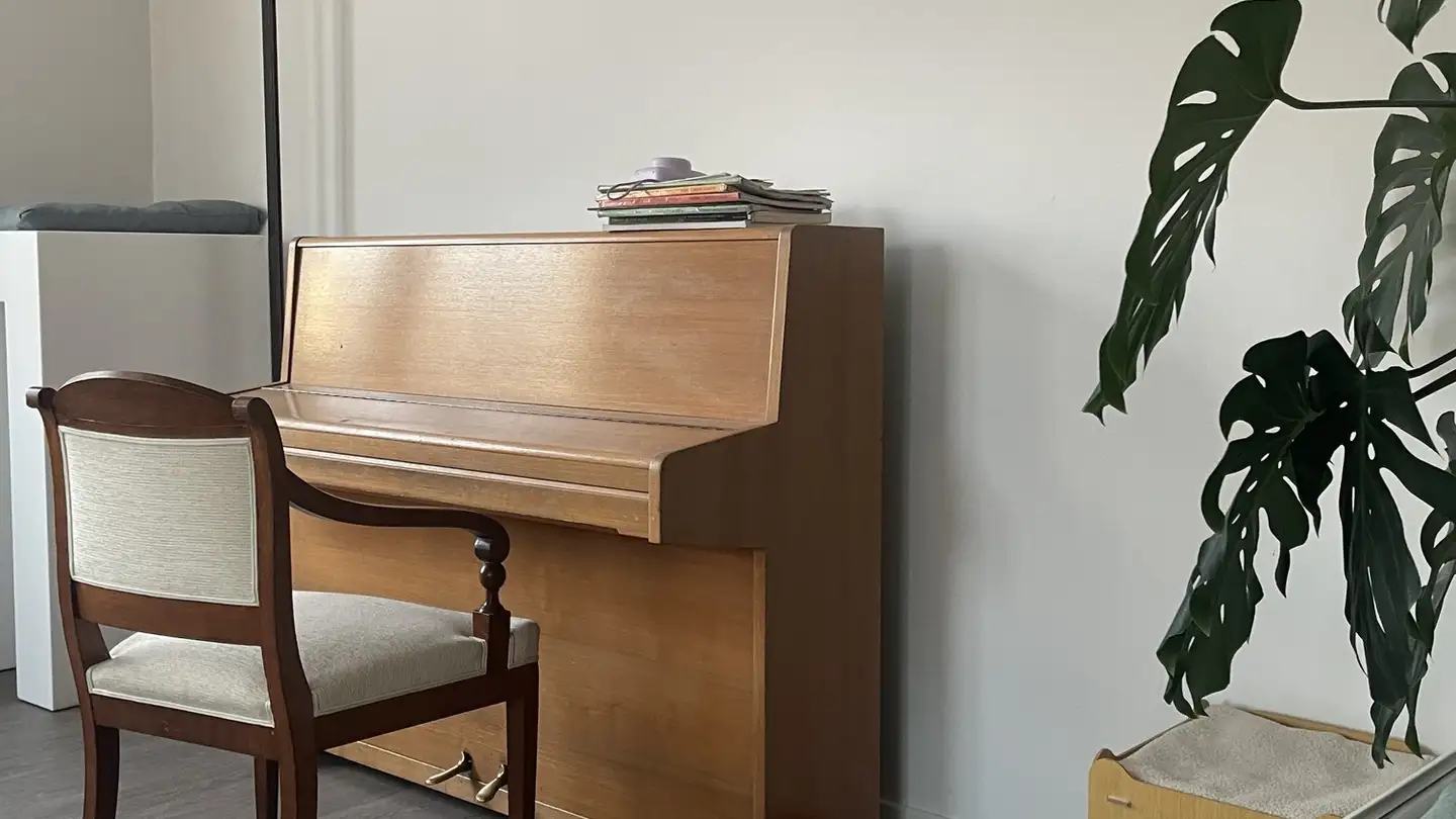 Chambre à louer - 8004 Zürich - Photo 4