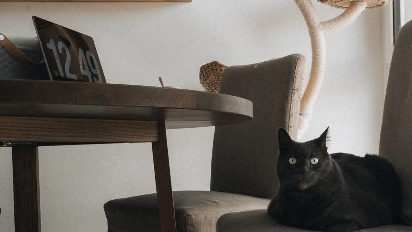 Single room for rent - 8125 Zollikerberg - Photo 2