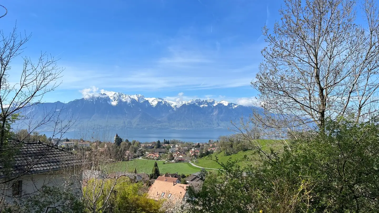 Terrain constructible à vendre - 1806 St-Légier-La Chiésaz